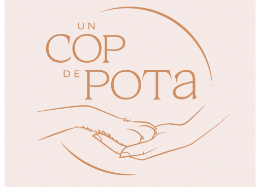 Un cop de pota